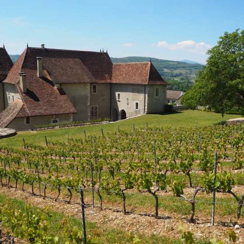 Castle in the Jongieux vineyard