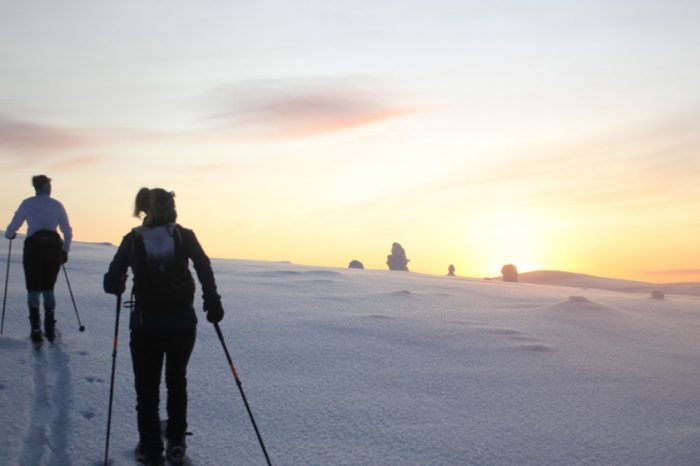 Ski de fond en Laponie